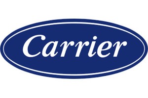 Carrier